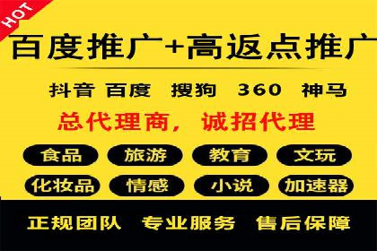 百度SEM竞价案例：揭秘高效广告投放策略